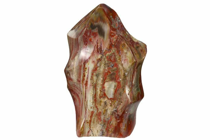 Polished Petrified Wood Flame - Madagascar #153274